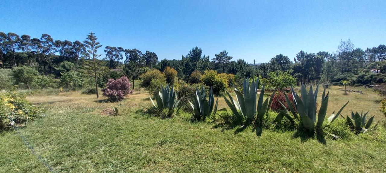 Monte Da Urze Aljezur - Agroturismo Extérieur photo