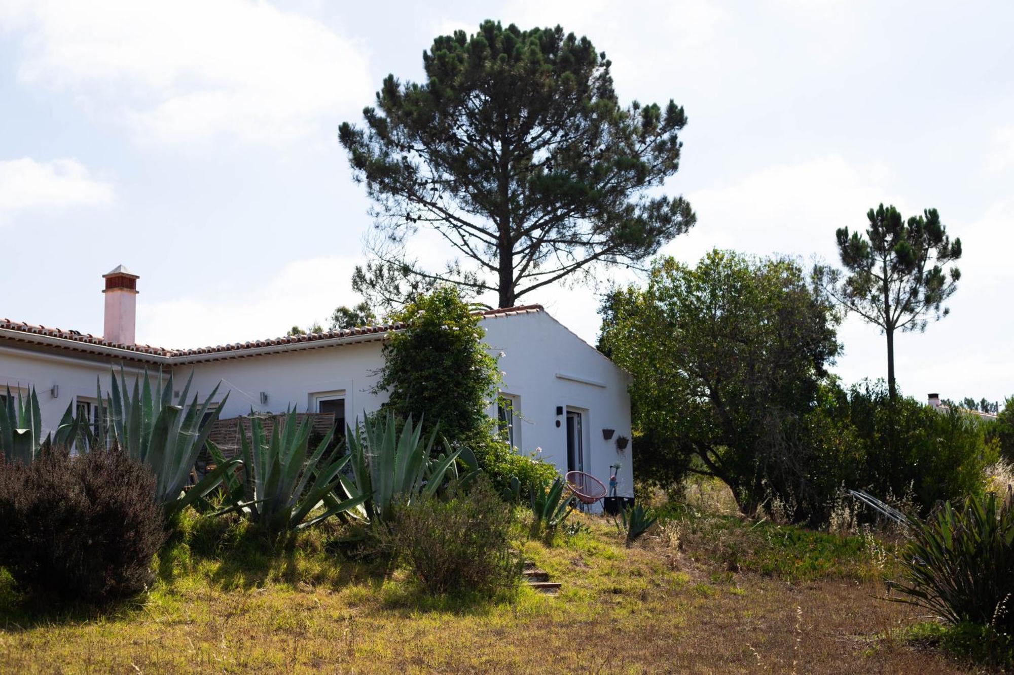 Monte Da Urze Aljezur - Agroturismo Extérieur photo